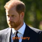 Prinz Harry: Leben, Familie & aktuelle Entwicklungen