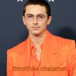Timothée Chalamet & Kylie Jenner: Wahrheit, Gerüchte & Fakten