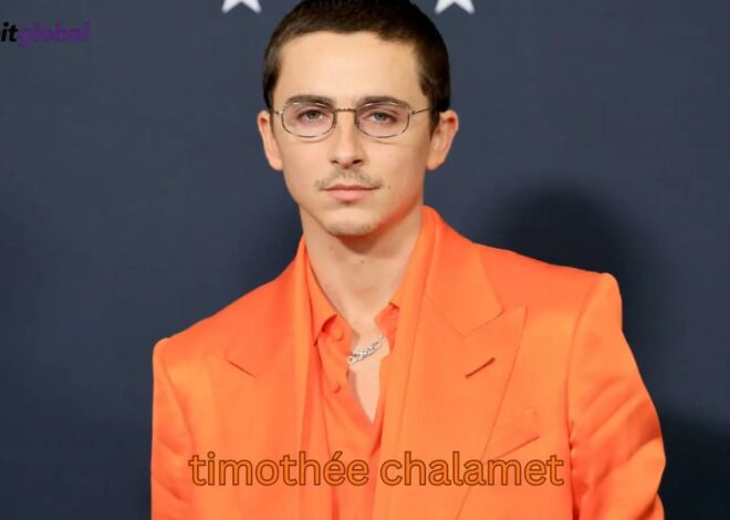 elektroauto Timothée Chalamet & Kylie Jenner: Wahrheit, Gerüchte & Fakten